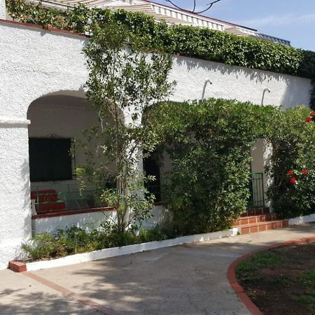 Villa Feli 3 Benicassim Bagian luar foto