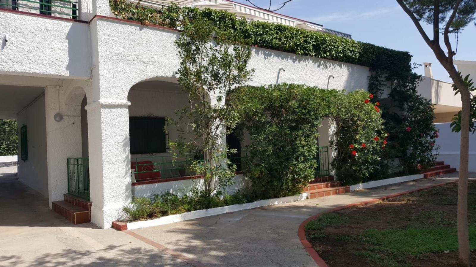 Villa Feli 3 Benicassim Bagian luar foto